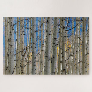 Aspen Groves   Colorado Rocky Mountains Puzzle