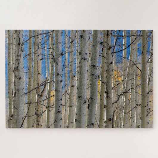 Aspen Groves | Colorado Rocky Mountains Puzzle (Horizontal)