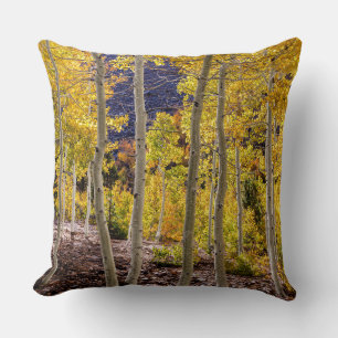 Aspen Herbst Kissen