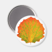 Aspen Herbstblatt Magnet (Vorderseite/Rückseite)