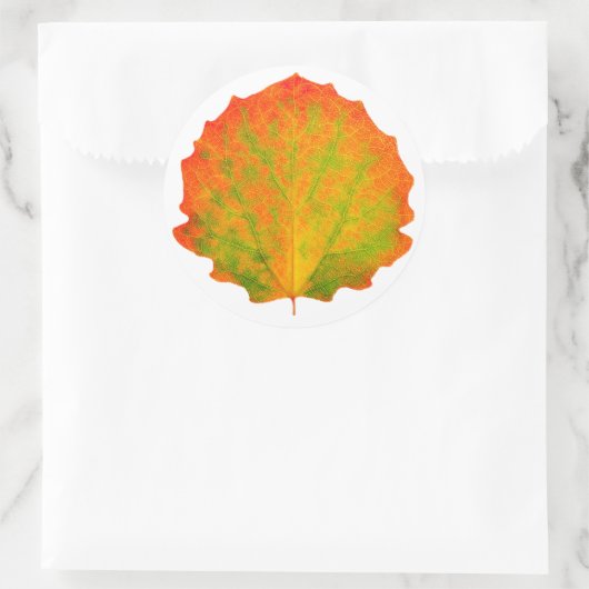 Aspen Herbstblatt Runder Aufkleber (Tasche)