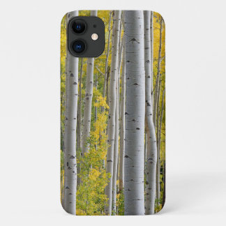 Aspen-Herbstfarben Baumstämme Gelber Splendor Case-Mate iPhone Hülle