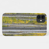 Aspen-Herbstfarben Baumstämme Gelber Splendor Case-Mate iPhone Hülle (Rückseite (Horizontal))