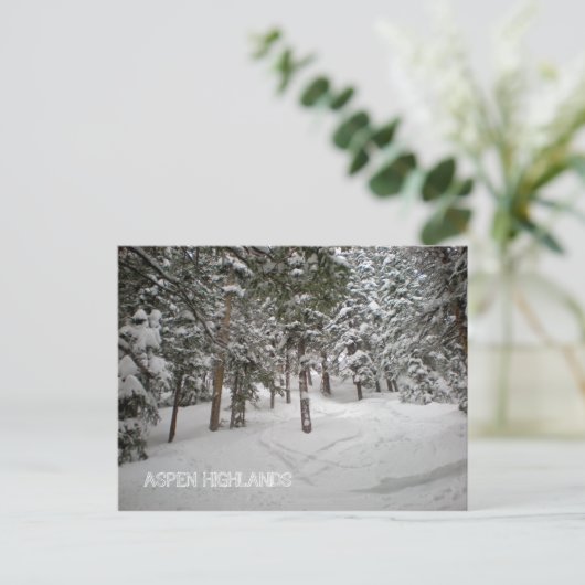 ASPEN HIGHLANDS POSTCARD POSTKARTE (Stehend Vorderseite)