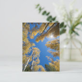 Aspen ist überall postkarte (Stehend Vorderseite)