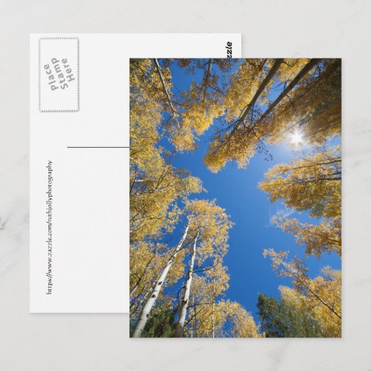 Aspen ist überall postkarte (Vorne/Hinten)