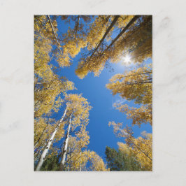 Aspen ist überall postkarte