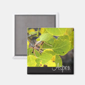 Aspen Kühlschrankmagnet (Vorderseite/Rückseite)