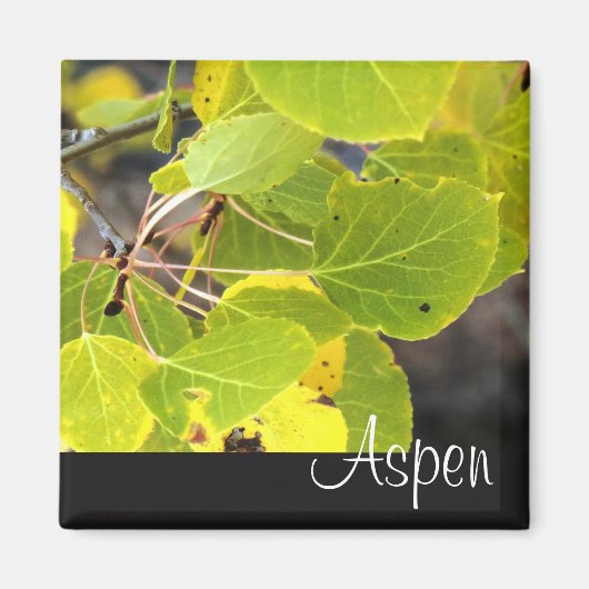 Aspen Kühlschrankmagnet (Vorne)