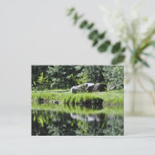 Aspen Lake Postkarte (Stehend Vorderseite)