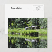 Aspen Lake Postkarte (Vorne/Hinten)