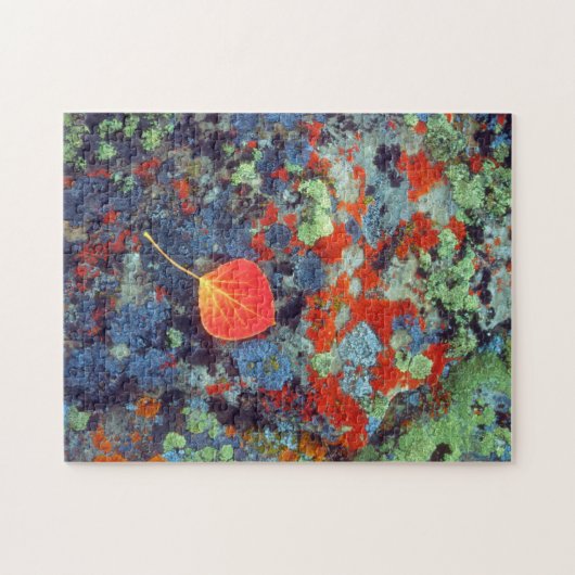 Aspen-Laub auf einem lichenbedeckten Felsen Puzzle (Horizontal)