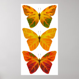 Aspen Leaf Butterflies Poster