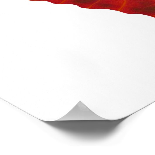 Aspen Leaf Butterflies Poster (Ecke)