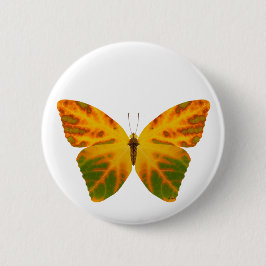 Aspen Leaf Butterfly 1 Button