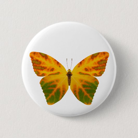 Aspen Leaf Butterfly 1 Button (Vorderseite)