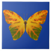 Aspen Leaf Butterfly 1 Fliese (Vorderseite)
