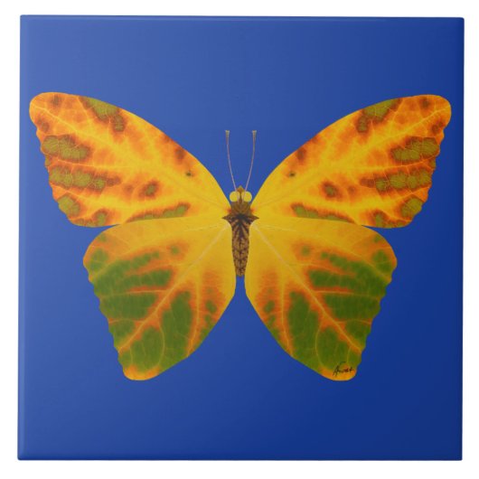 Aspen Leaf Butterfly 1 Fliese (Vorderseite)