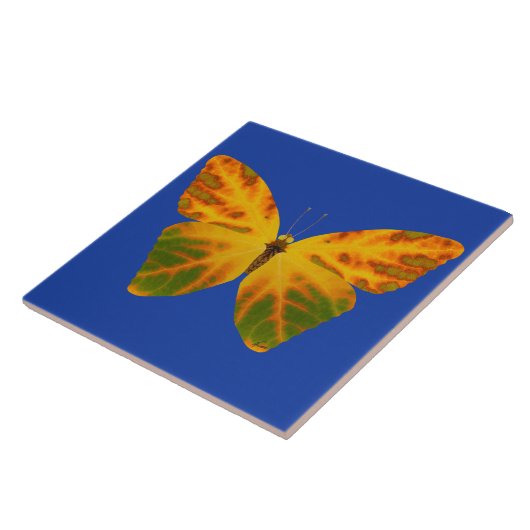 Aspen Leaf Butterfly 1 Fliese (Seite)