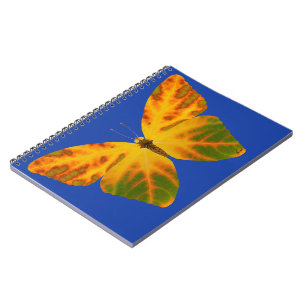 Aspen Leaf Butterfly 1 Notizblock