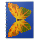 Aspen Leaf Butterfly 1 Notizblock (Vorderseite)