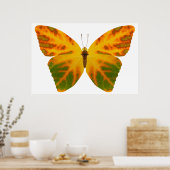 Aspen Leaf Butterfly 1 Poster (Küche)