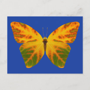 Aspen Leaf Butterfly 1 Postkarte
