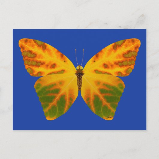Aspen Leaf Butterfly 1 Postkarte (Vorderseite)