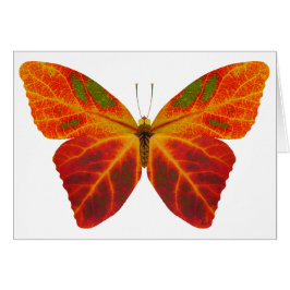 Aspen Leaf Butterfly 2