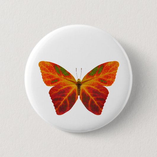Aspen Leaf Butterfly 2 Button (Vorderseite)