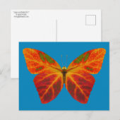 Aspen Leaf Butterfly 2 Postkarte (Vorne/Hinten)