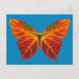Aspen Leaf Butterfly 2 Postkarte