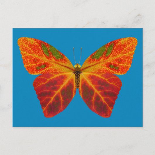 Aspen Leaf Butterfly 2 Postkarte (Vorderseite)