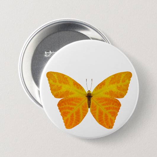 Aspen Leaf Butterfly 3 Button (Vorne & Hinten)