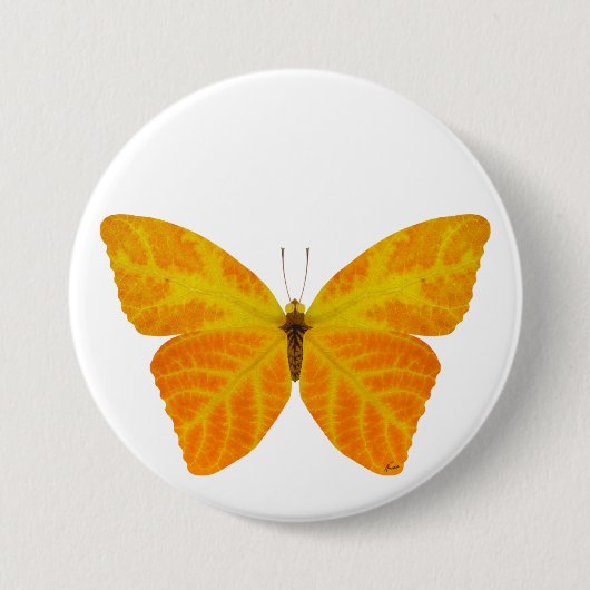 Aspen Leaf Butterfly 3 Button (Vorderseite)