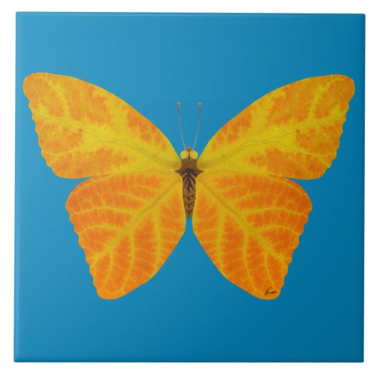 Aspen Leaf Butterfly 3 Fliese (Vorderseite)