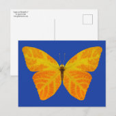 Aspen Leaf Butterfly 3 Postkarte (Vorne/Hinten)