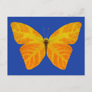 Aspen Leaf Butterfly 3 Postkarte