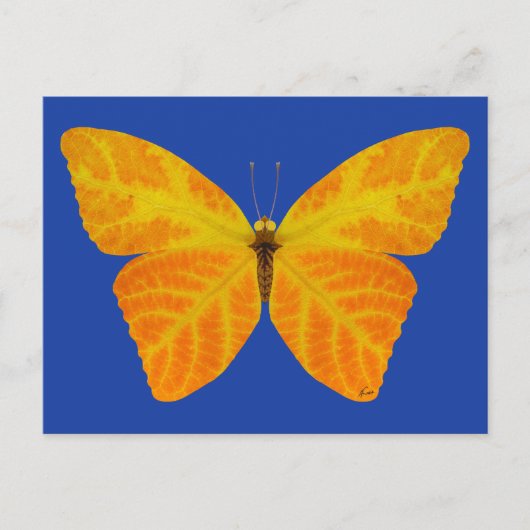 Aspen Leaf Butterfly 3 Postkarte (Vorderseite)