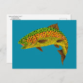Aspen Leaf Regenbogenforelle 1 Postkarte (Vorne/Hinten)