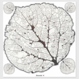 Aspen Leaf Skeleton 1 Aufkleber