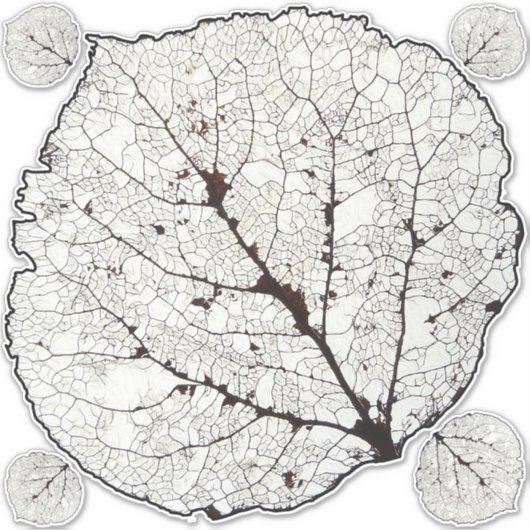 Aspen Leaf Skeleton 1 Aufkleber (Vorderseite)