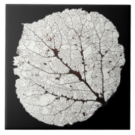 Aspen Leaf Skeleton 1 Fliese
