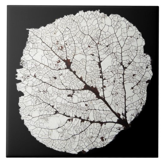 Aspen Leaf Skeleton 1 Fliese (Vorderseite)