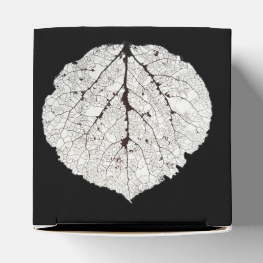 Aspen Leaf Skeleton 1 Geschenkschachtel (Oben)