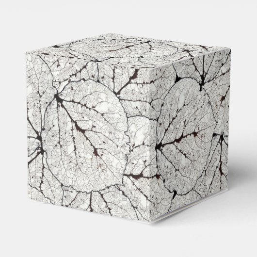 Aspen Leaf Skeleton 1 Geschenkschachtel (Rückseite)