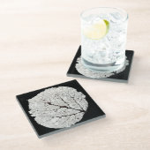 Aspen Leaf Skeleton 1 Glasuntersetzer (Schrägansicht)