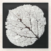 Aspen Leaf Skeleton 1 Glasuntersetzer (Vorderseite)