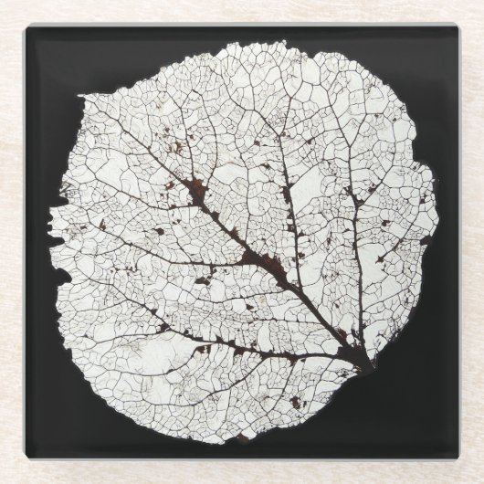 Aspen Leaf Skeleton 1 Glasuntersetzer (Vorderseite)