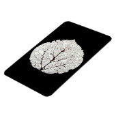 Aspen Leaf Skeleton 1 Magnet (Linke Seite)